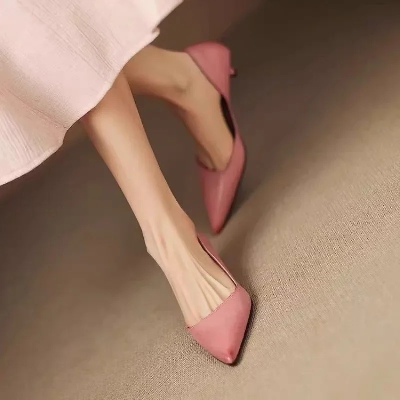 Dames puntschoen stiletto hakk - Women'S Heels recensie en prijs
