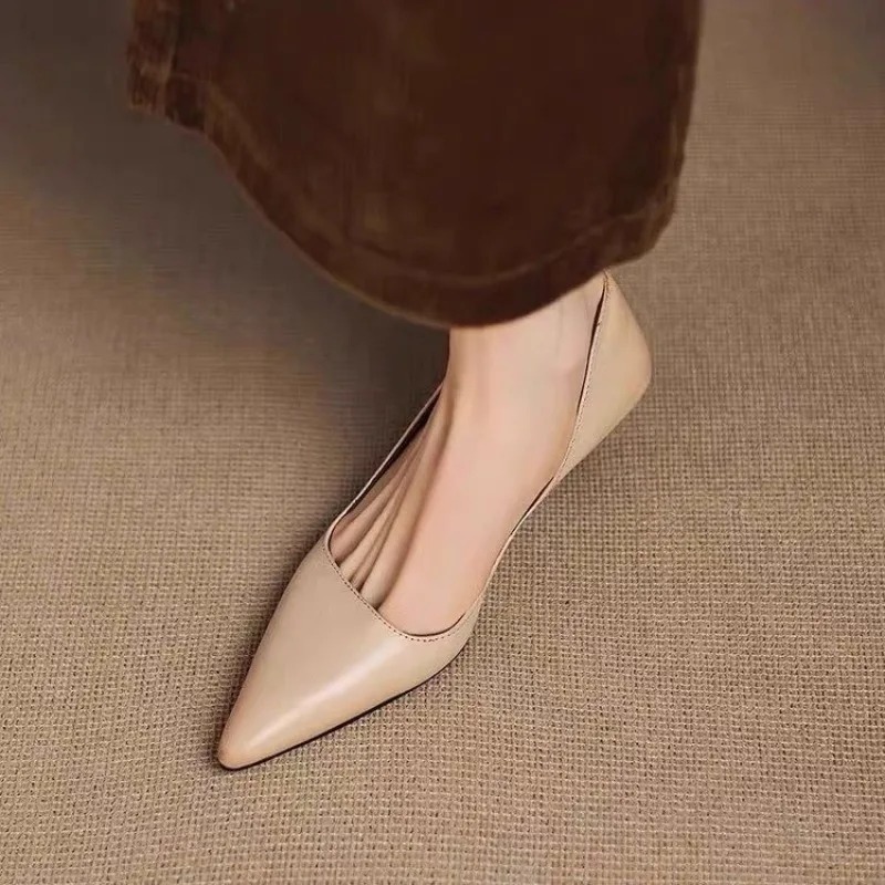 Dames puntschoen stiletto hakk - Women'S Heels recensie en prijs